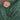 Full Coverage Namaz Chaddar - Meadow Emerald