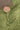 Full Coverage Namaz Chaddar -Carnation Mint