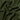 Sparkling Georgette- Olive Green