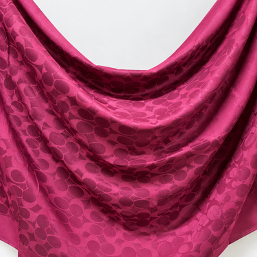 COACH Scarves 02
