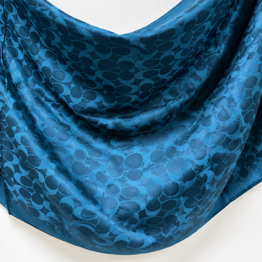 COACH Scarves 04
