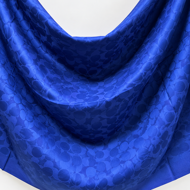 COACH Scarves 07