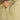 Full Coverage Namaz Chaddar - Sahar Beige