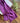 Turkish Lawn - Plum