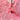 Namaz Chaddar - Daffodil Pink